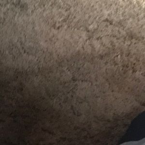 Meet your Posher, Aurora